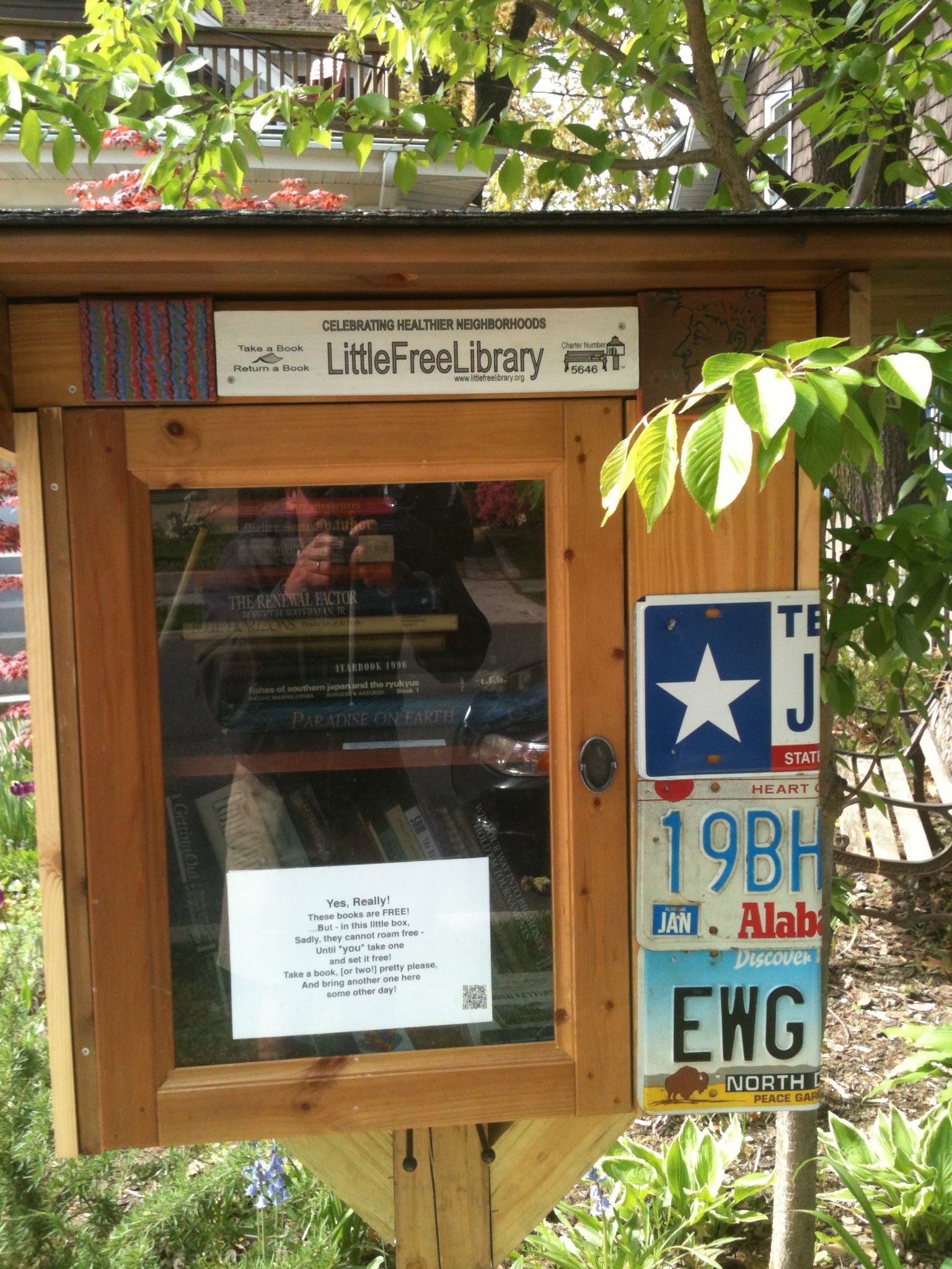 Front Yard Library - Theodore Carter